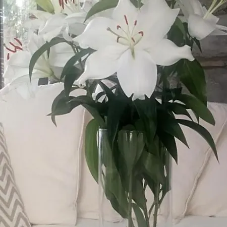 Augherea House 3* Лонгфорд