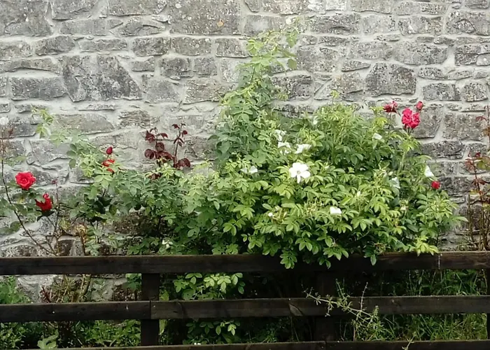 Frühstückspension Augherea House